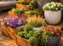 Creative Deck Planter Garden Makeover